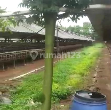 For Sale 7 Hectares of Land in Kemiri Tangerang Including Warehouse