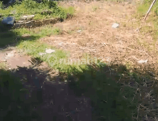 Land in Bojong Gede Suitable for Settlement Business, etc.