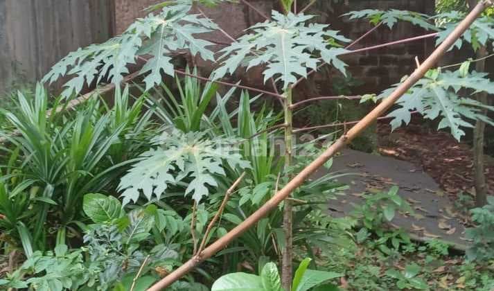 Tanah Di Jalan Ciater Raya