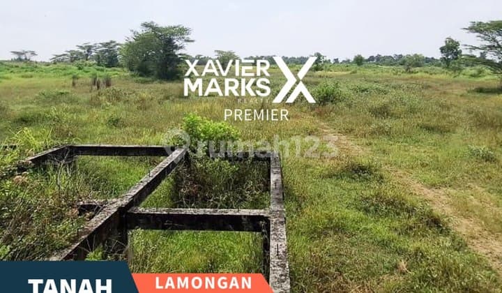Tanah Luas Siap Bangun di Raya Mantup Lamongan