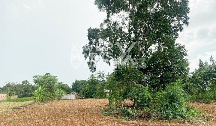 Tanah Siap Bangun Luas di Kota Agung Tegineneng, Lampung Id556