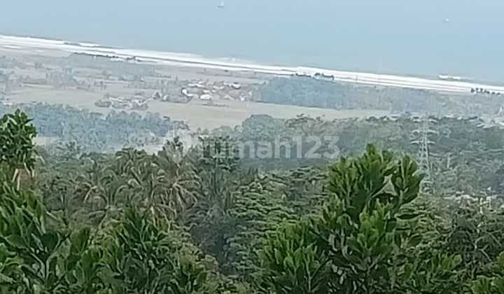 Dijual Tanah 5.700 Hektar Di Daerah Malimping Bayah Lebak Banten