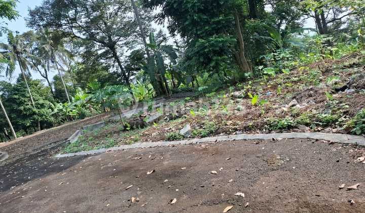 strategic land in Warung Nangka Ciawi (18 Hectares)