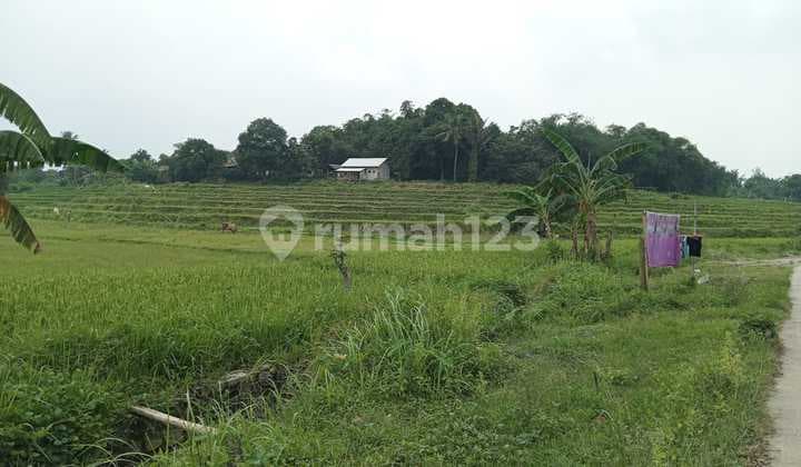 DIJUAL TANAH SHM 10 HEKTAR DI DESA WENINGGALIH JONGGOL