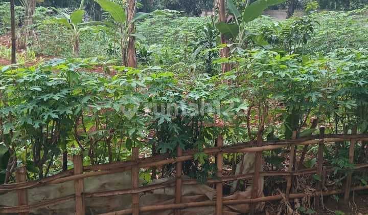 Tanah 400 m² di Daerah Desa Mampir Cileungsi Bogor Timur