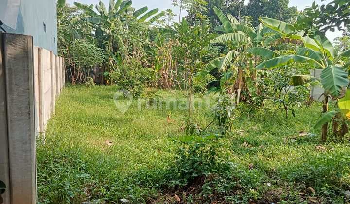 Tanah 230 M2 di Desa Bojong Kec Klapa Nunggal, Bogor