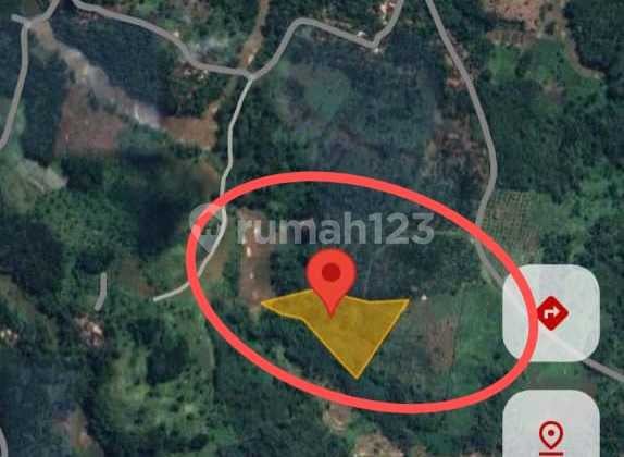 Di Jual Tanah + Kebun Lengkeng, di Mangunjaya Kec.Bantar Gadung-Warung Kiara Sukabumi 7,5 Hektar.