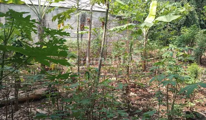 For Sale 250M2 Land in Rw 09, Gandoang Village, Cileungsi Bogor, Bogor
