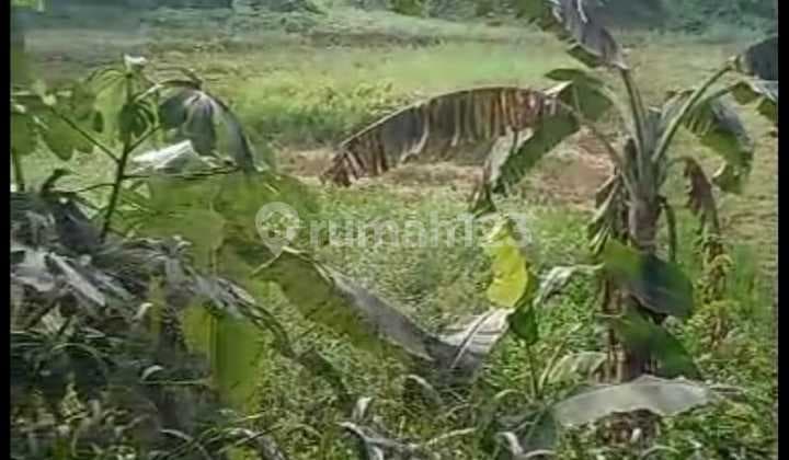 Dijual Tanah di Sawangan LT 1,9 Hektar