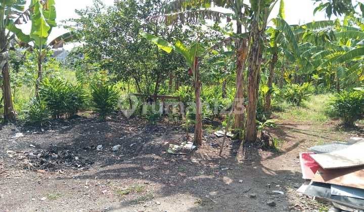 DIJUAL TANAH 20.000M2 LOKASI DI JL SAMICK CILEUNGSI