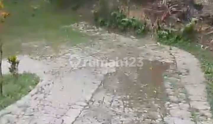 Dijual Tanah Plus di Cempalng Bogor , Bogor Lt 4.200m2