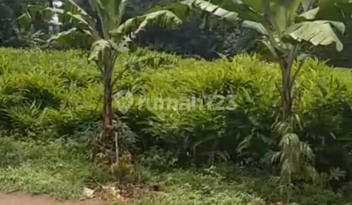 Dijual Lahan 1,7 Hektar di Desa Taman Sari Setu Bekasi