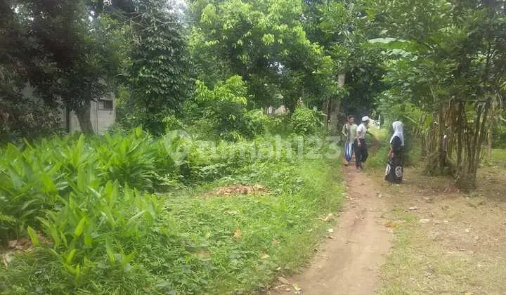 Land 1 Hectare on Jl Raya Cileungsi Jonggol, Bogor