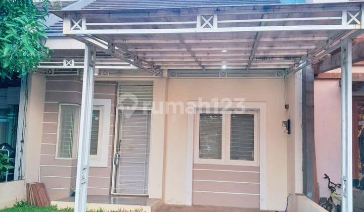 Disewa Rumah bagus diseberang Al-Azhar dan masjid agung