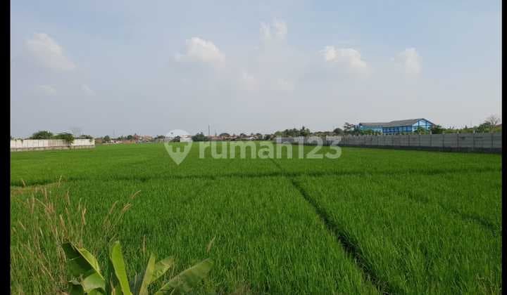 Dijual Cepat Lahan Komersil Hampir 6 Hektar di Karawang (Ir)