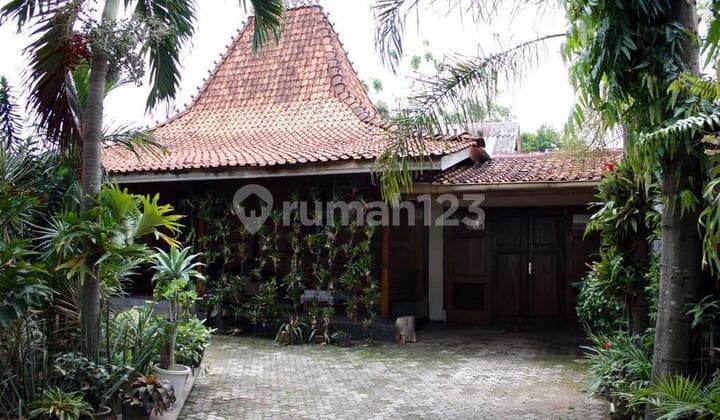 For Quick Sale: Spacious Land and Ancient Joglo Jepara House in Pamulang