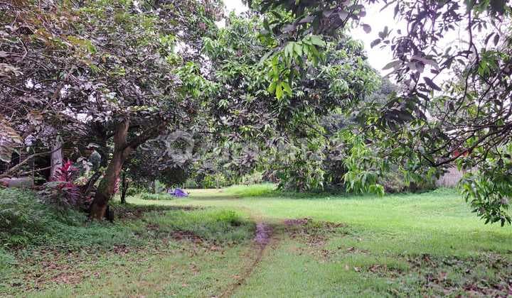 Tanah di Pinggir Jalan Raya Alternatif Cibubur Lokasi Strategis