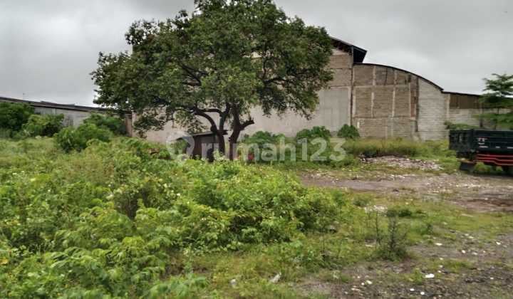 Cuma 5 Jt/M Tanah Padat Komersil di Bekasi Utara (1309)