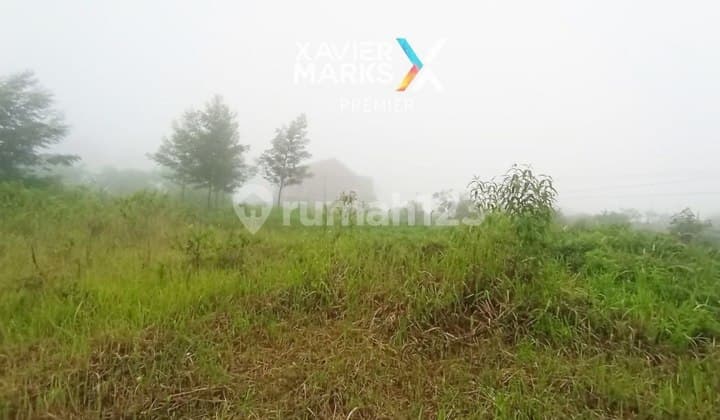 Tanah Siap Bangun Jalan Poros Purwodadi Nongkojajar