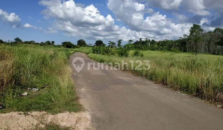 Tanah SHM Murah Ada Jalan Aspal Akses 2 Mobil di Taktakan