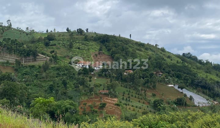 Tanah Murah Premium Luas 573.0 M² Shm Royal Garden Resort Dago