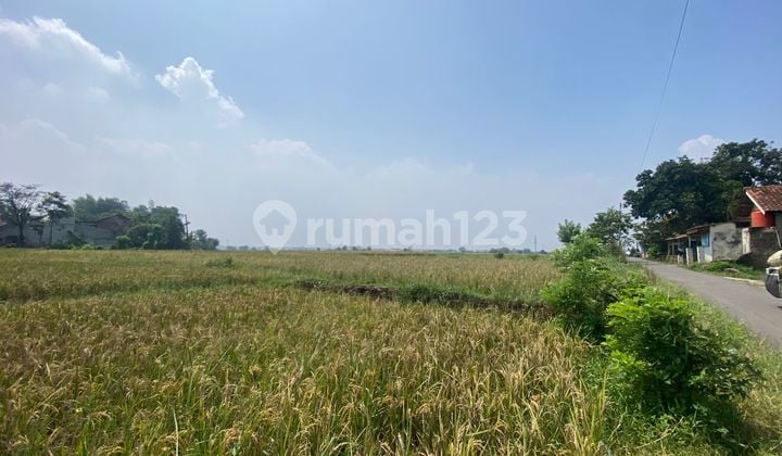 Tanah Murah Lokasi Strategis Luas 45000 M2 Dekat Gudang Nanjung