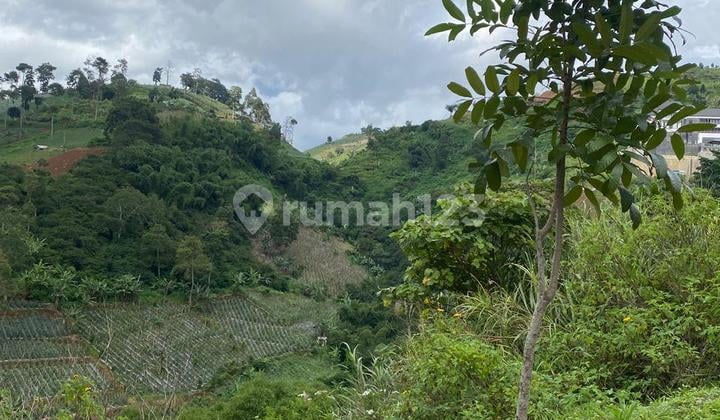 Tanah Murah Premium Luas 622.0 M² Shm Emerald Hill Resort Dago