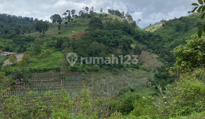 Tanah Murah Luas 859.0 M² Shm Di Resor Dago Pakar