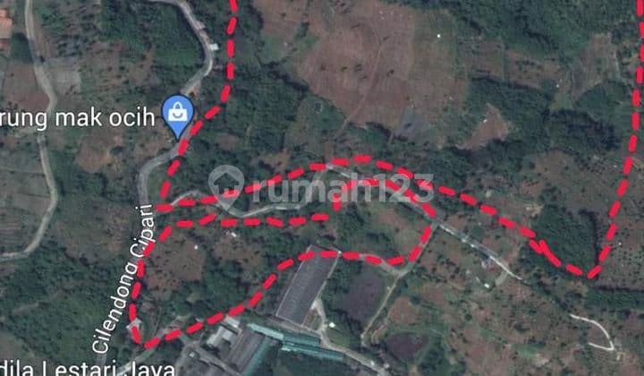 Cheap, Fertile, Wide 30 Hectares Land with Certificate in Cijapati