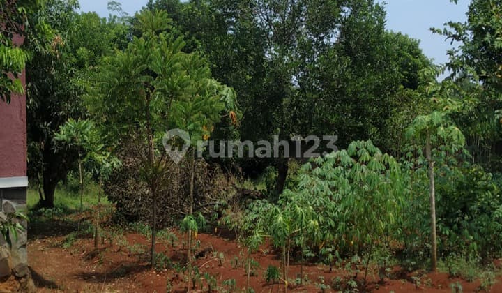 Dijual Cepat Tanah di Muktijaya Mekarsari