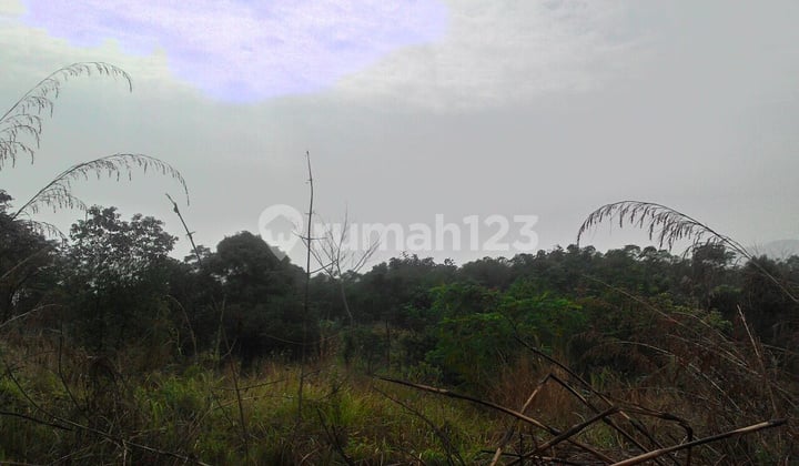 Tanah Kavling Luas 6 Hektar Di Cigudeg Kabupaten Bogor