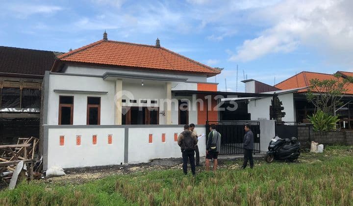 Dijual Rumah Murah 3 Unit Di Kediri Tabanan Free Biaya Pajak Dan Balik Nama.