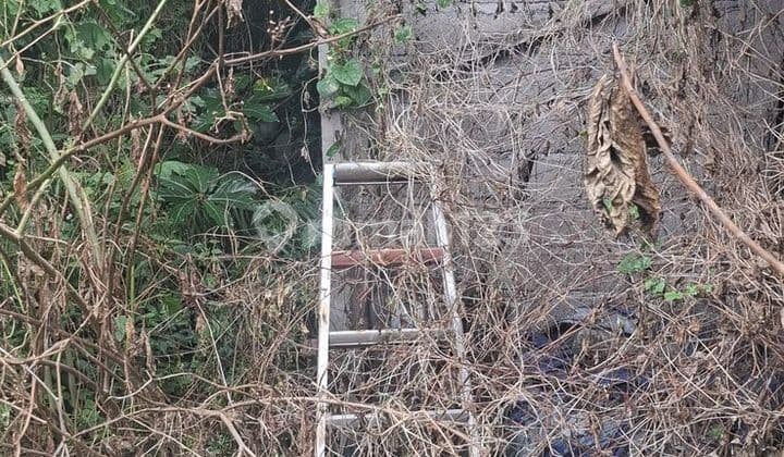Dijual Tanah Kosong Dijalan Pidada Ubung Denpasar Utara.
