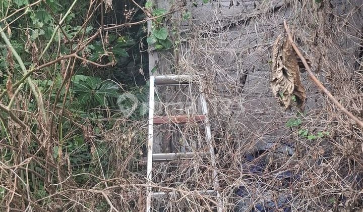 Dijual Tanah Kosong Dijalan Pidada Ubung Denpasar Utara.