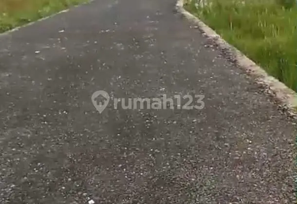 Vacant Land for Sale on Kerobokan Road, Badung, Bali.