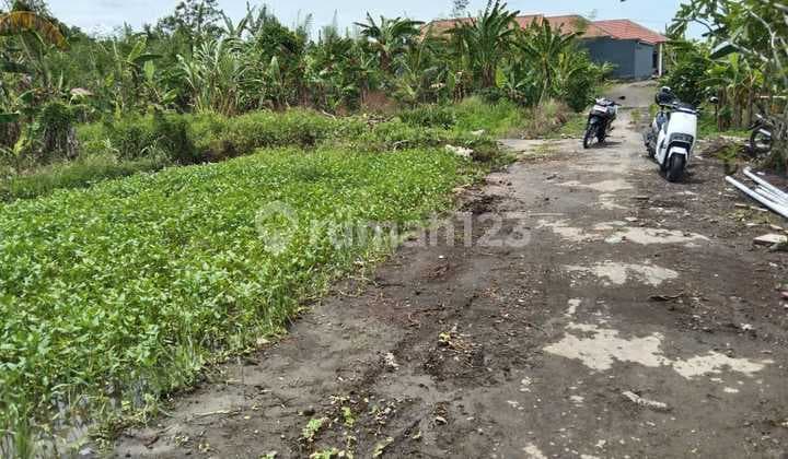 Dijual Cepat Tanah Murah Area Sempidi Dekat Puspem Badung.