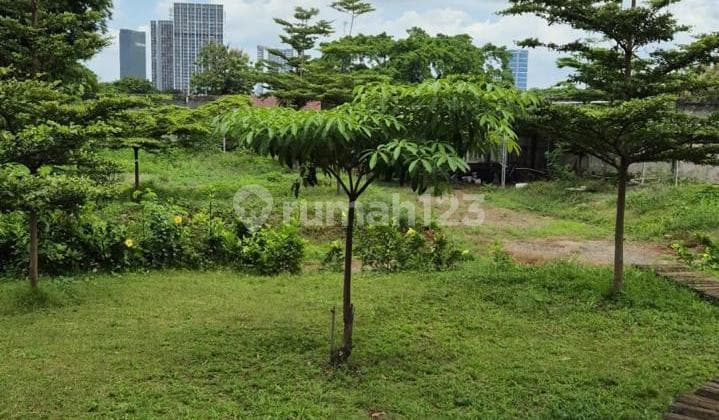 Kavling Disewakan Cocok Untuk Tempat Usaha Di Cilandak Jakarta Selatan