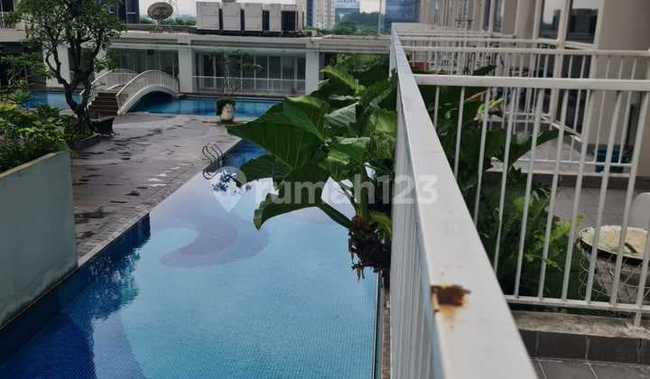 Disewakan Apartemen Pacific Garen Type Studio View Pool. Ivn