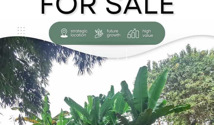 Commercial Plot LT 2.009 M2 Cisauk, Highly Strategic, Near BSD