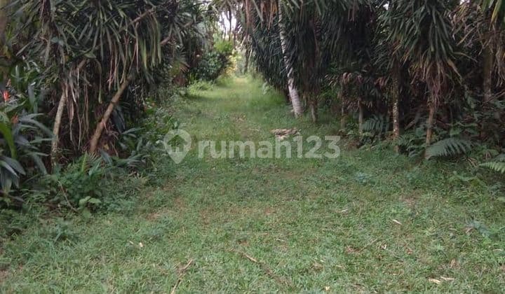 Dijual Tanah di Ranca Bungur Cocok untuk Perumahan
