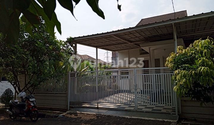Jual Rumah Hook Siap Huni Di Bcc Bukit Cimanggu City Cluster Oakwood Bogor