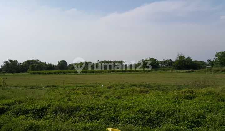 Tanah Strategis 3 Ha - Harga di Bawah NJOP!
