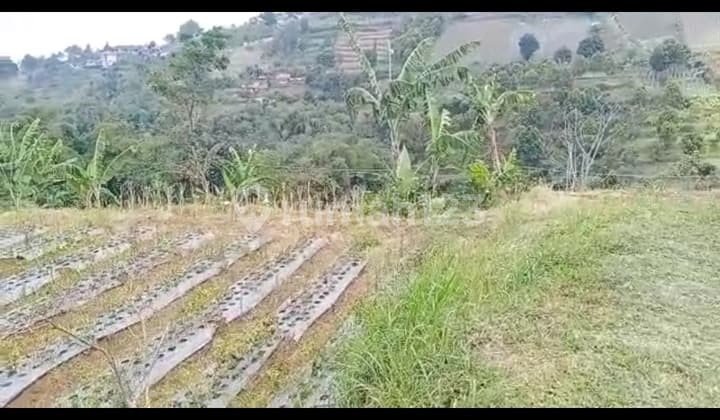 Land for Sale Downslope Pagerwangi Lembang Cool Air View of Bandung
