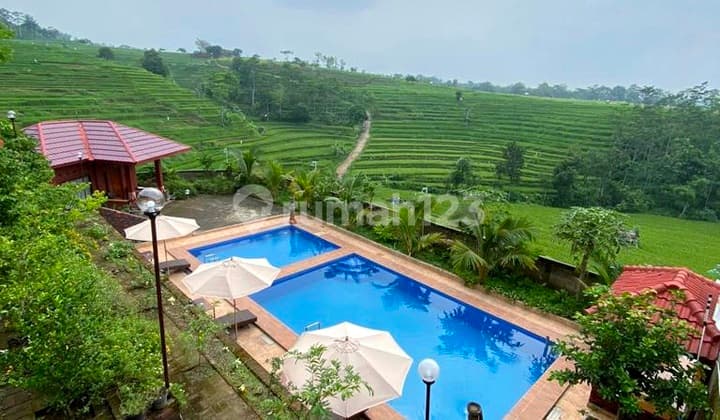 Villa Komersial Siap Usaha Passive Income Jolotundo Trawas