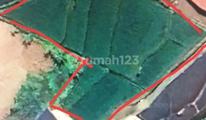 Lahan Besar Petungasri Pandaan Cocok Gudang, Kuliner, Agrobisnis