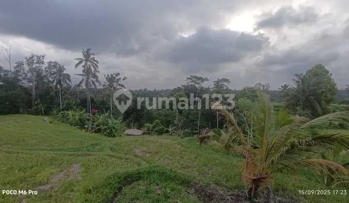 Land for Rent in Badung Regency, Bali