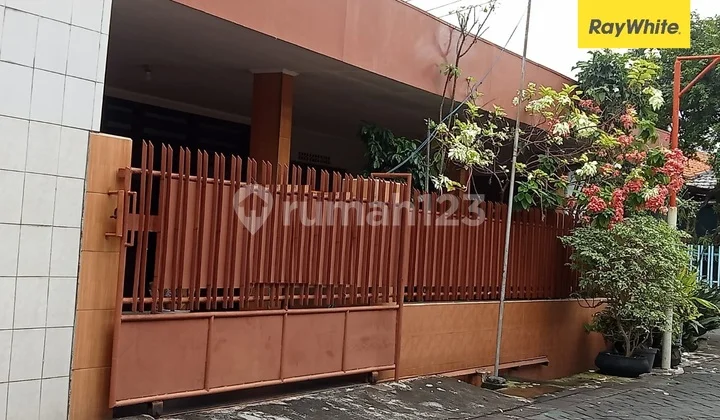 Dijual Rumah Dijalan Pacar Kembang Surabaya Dijual Rumah Dijalan Pacar Kembang Surabaya