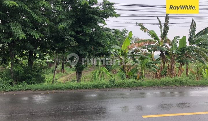 Land for Sale on Raya Kedamean Street, Gresik