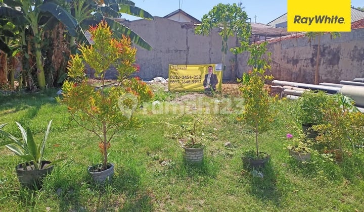 Dijual Tanah Di Saronojiwo Dekat Prapen Dan Jemursari Cocok Dibuat Untuk Beberapa Kavling Dijual Tanah Di Saronojiwo Dekat Prapen Dan Jemursari Cocok Dibuat Untuk Beberapa Kavling