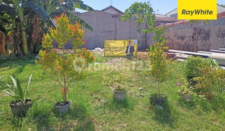 Dijual Tanah Di Saronojiwo Dekat Raya Jemursari Surabaya
